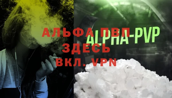 хмурый Нефтекумск