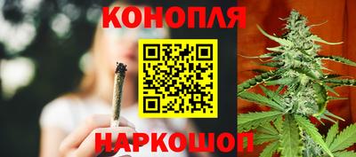 не бодяженный Сланцы