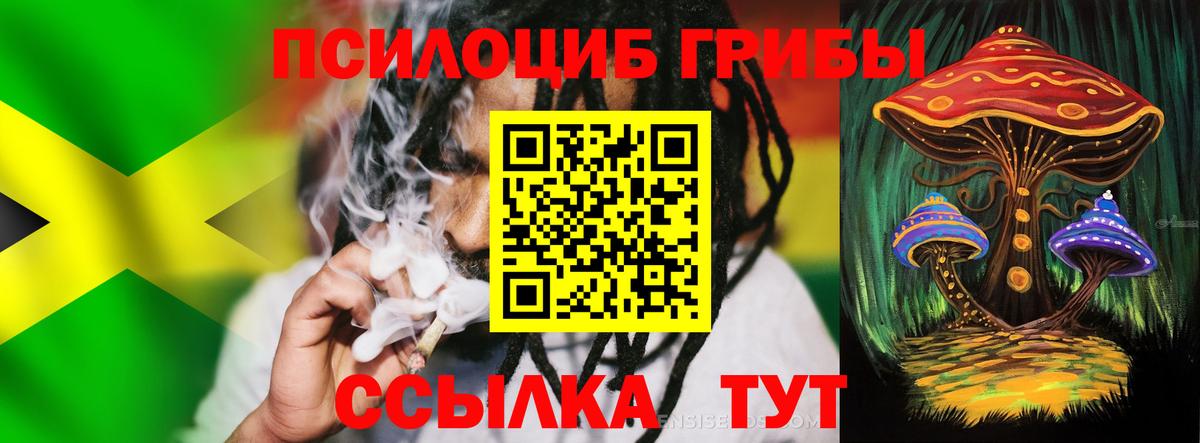 Галлюциногенные грибы Cubensis Сертолово